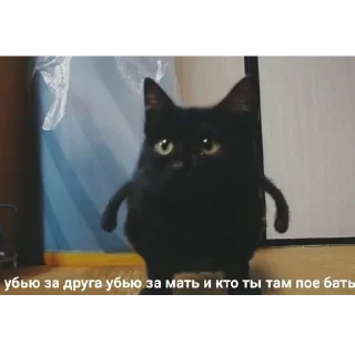 😺