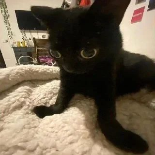 ❔