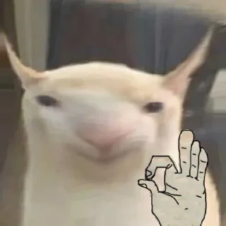 👌