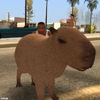 🫵