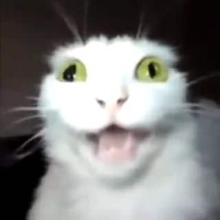 😮