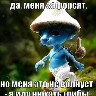 🌟