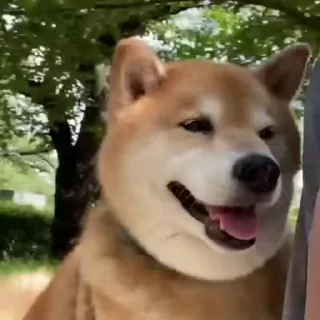 🌝