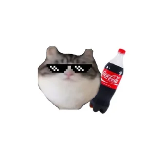😼