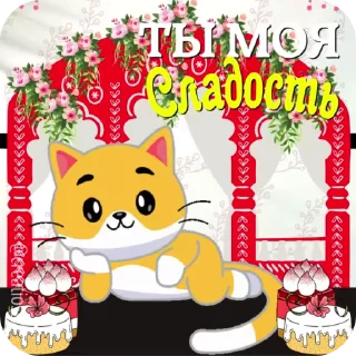 🐱