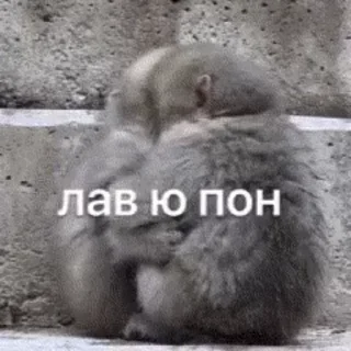 ❤️