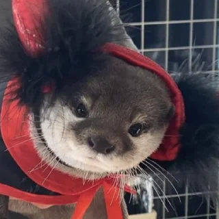 👹