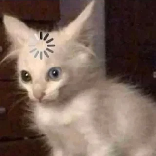 😵‍💫