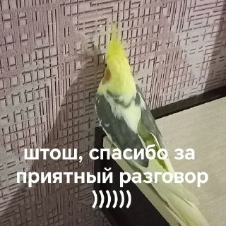 🗣