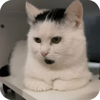 😒