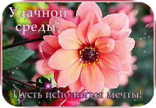 🌸