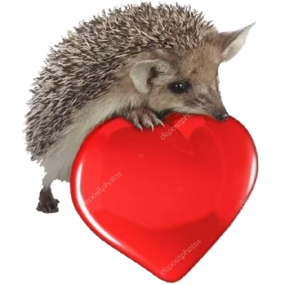 ❤️
