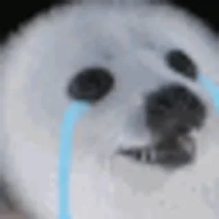 😭