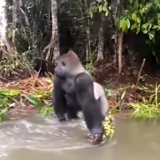 💧