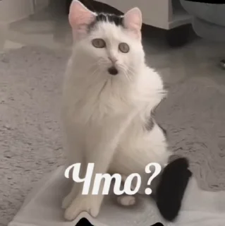 ⁉️