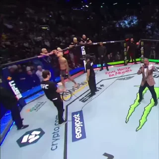 🤩