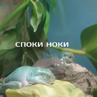 😴