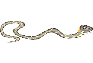 🐍