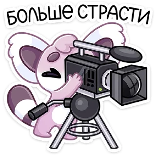 📹