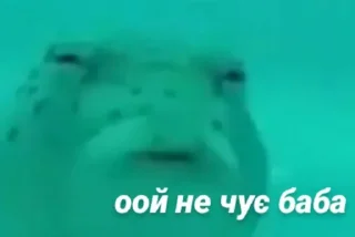 🤡