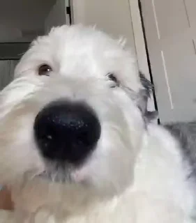😚