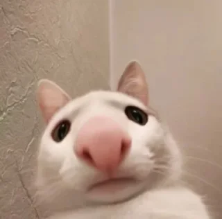 😕
