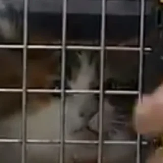 😵