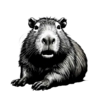 Капибара @Liveisstickers