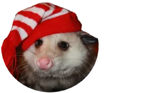 💂‍♀️