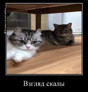 🤨
