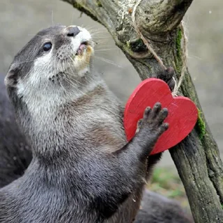 ❤️