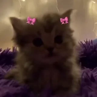 🎀