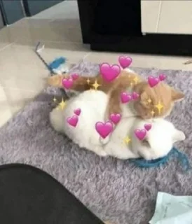 ❤️