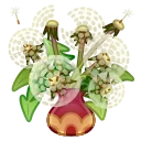 💐
