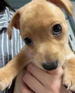 🤨