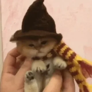🦹‍♂
