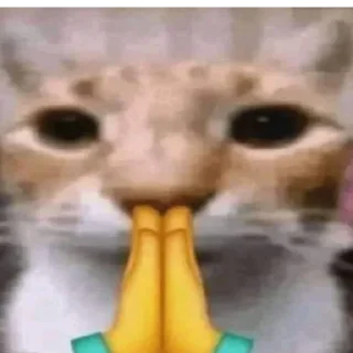 🙏