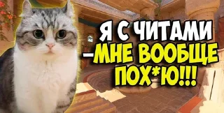 😂