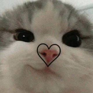 ❤️