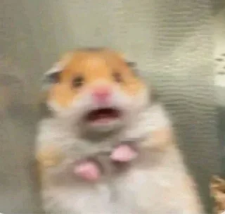 😳