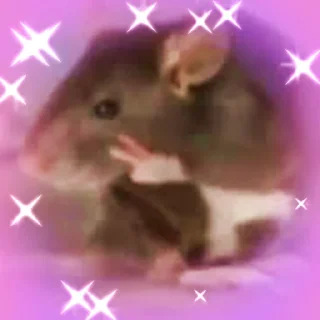 ✌️