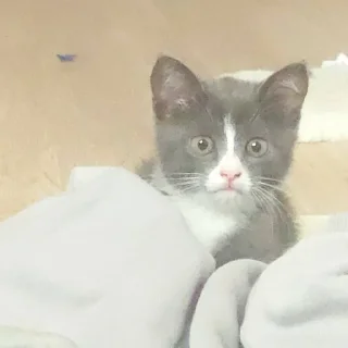 😧