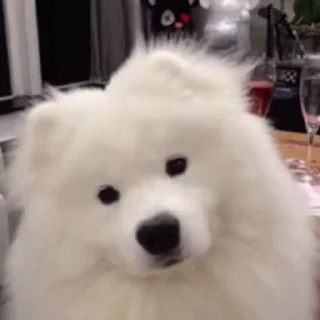 🤧