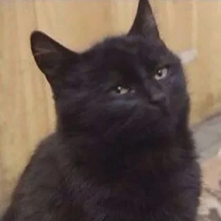 😏
