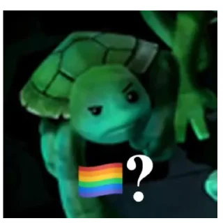 🏳️‍🌈