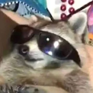 😎