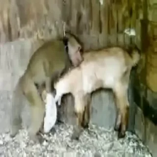 😘