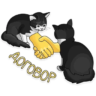 🤝