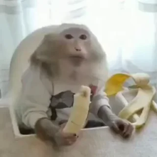 😋