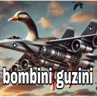 ✈️